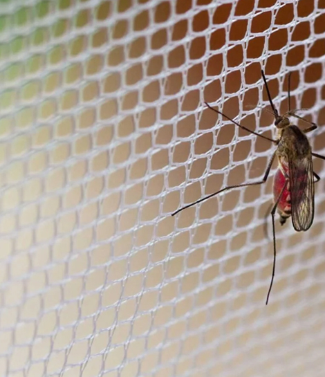 Mosquito Net for Wndows in Velachery
